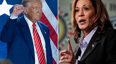 Trump gaining on Harris in Minnesota as VP dips in Midwest state: poll