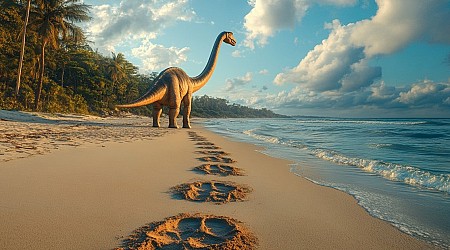 Una niña descubre huellas de dinosaurio de 200 millones de años durante un paseo por la playa