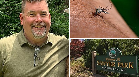 NH father fighting three viruses from one mosquito bite