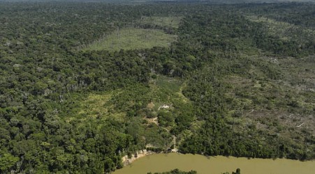 Judge in Brazil orders slaughterhouses to pay for Amazon reforestation