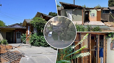 Tree-damaged California home aims to sell for $500K