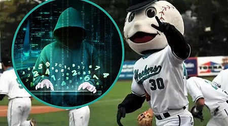 Data Breach Hits Rochester, Minnesota Honkers Fans