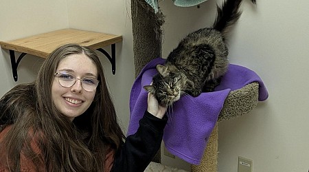 Lost cat turns up 2,000 miles from home after nearly 3 years