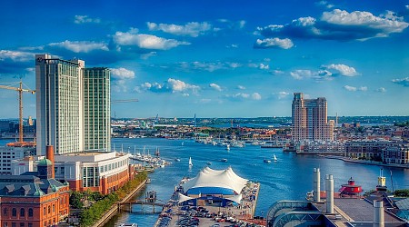 Fish kill results in about 24,000 dead fish in Baltimore's Inner Harbor