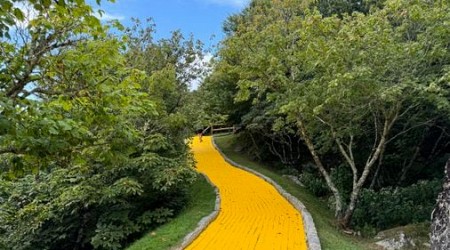 A Wizard of Oz theme park, once abandoned, has a new life in N.C.