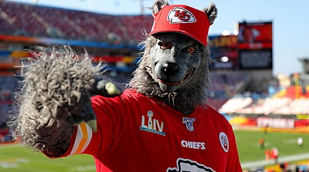 Chiefs superfan Xaviar Babudar, aka 'Chiefsaholic,' sentenced to 17.5 years in prison for bank robbery spree