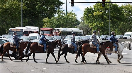 Horses walk along Lake Michigan for awareness of veteran suicide