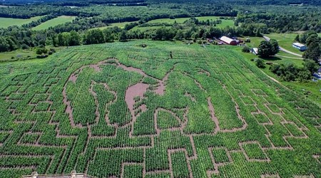 Want to visit New England's largest corn maze? What to know.