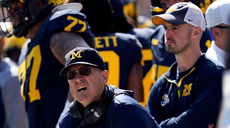 Ex-Michigan analyst Stalions now interim high school head coach