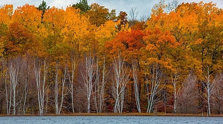 Minnesota DNR Launches Fall Color Finder