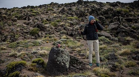 R-Ladies Bariloche in Argentina: Fostering a Different Approach to  Leadership