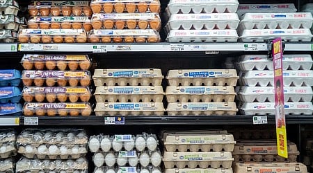 Contaminated eggs sold in Illinois recalled for Salmonella