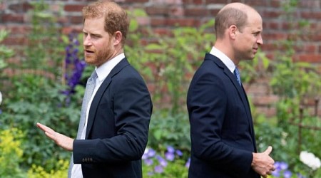 The rift between Prince Harry and Prince William casts a long shadow