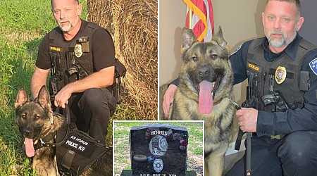 Cop accused in K-9 partner's death after leaving pooch in sweltering car