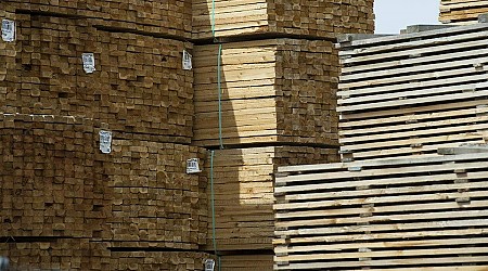 Canada takes US to court over its near-doubling softwood lumber duties