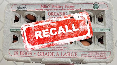 Wisconsin Egg Supplier Now Issues Massive Recall Of All Products