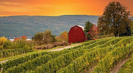 The 5 US states with the best wineries, according to a sommelier