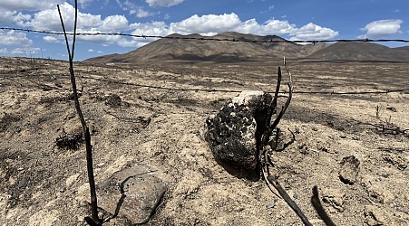 These Oregon ranchers say the losses from summer range fires will be huge