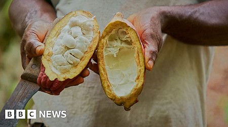 Have Swiss scientists made a chocolate breakthrough?