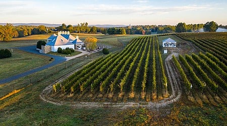 The future of American wine may be in Virginia