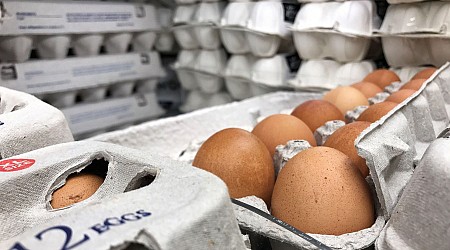 Salmonella Outbreak In Eggs: Dozens Ill In These 9 States From Midwest Farm