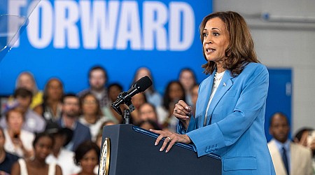 Big Food says Kamala Harris' grocery price gouging plan is 'a solution in search of a problem'