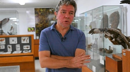 Hunt for rare bird shows how Ecuador narco violence impedes research