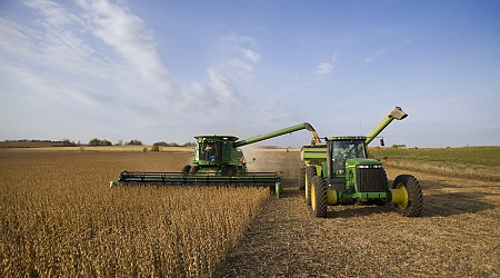 Here’s how much cropland could be freed up if Americans ate half as much meat