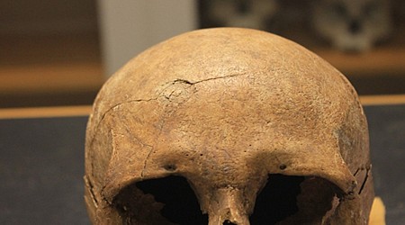 How Bloodthirsty Were Vikings? New Study Challenges Long-Held Assumptions