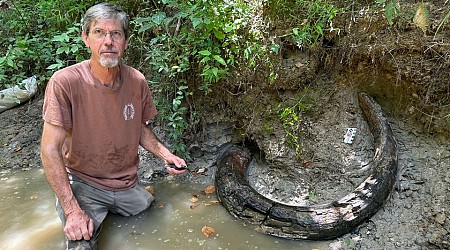 He stumbled onto a large tusk in a Mississippi creek. It turned out to be a first-of-its-kind discovery