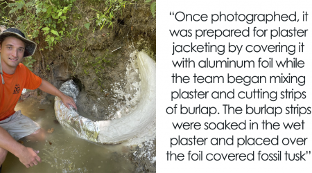 Man Goes Viral Online After His Exploration Walk Turns Into A Massive Mammoth Tusk Discovery