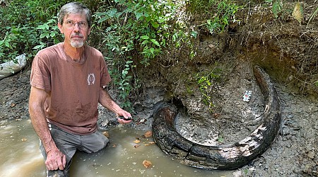 Se topó con un gran colmillo en un arroyo de Mississippi. Resultó ser el primer descubrimiento de su tipo