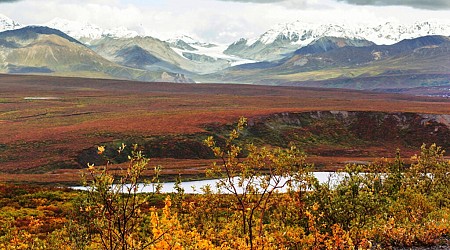 Thawing Alaskan Permafrost Is Releasing Dangerous Levels of Mercury