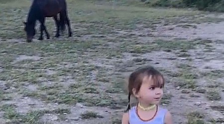 3-Year-Old Girl Kicked in Head by Wild Horse in Nevada Park, Mom 'Thought She Had Died'