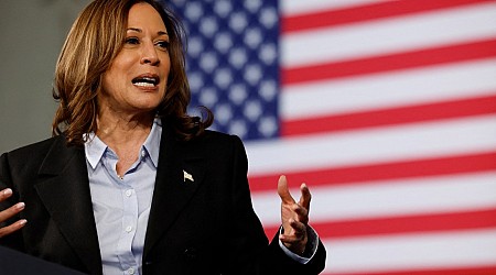 What the polls show about Harris’s chances against Trump