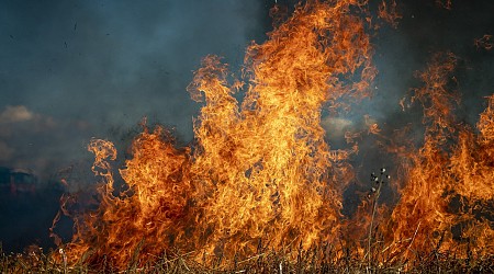 Wildfires are increasing toxic mercury in streams in Idaho, Oregon, Washington, study finds