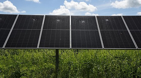 Florida Man Arrested for Causing $700,000 in Damage at Solar Power Facility