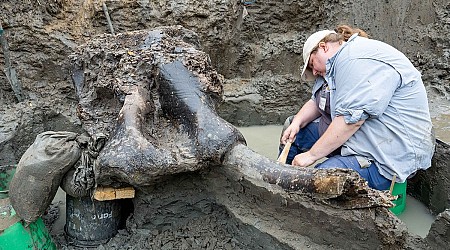 Huge 13,600-year-old mastodon skull and bones unearthed in Iowa