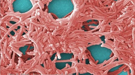 5 sickened with Legionnaires' disease near New Hampshire resort