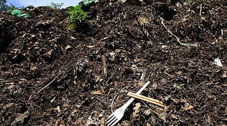 Stop Putting Forks in Your Compost