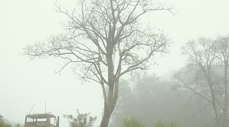 Virada no clima: temperatura despenca e pode bater recorde no fim de semana