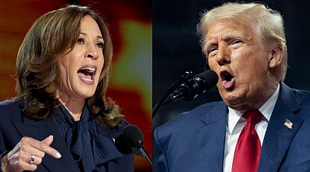 Trump spent years courting Black voters. Kamala Harris has undone much of his success in just 7 weeks