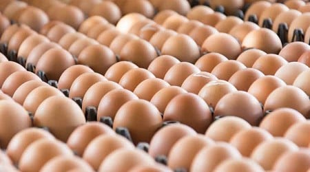 Cal-Maine Foods creates egg products joint venture with new investment