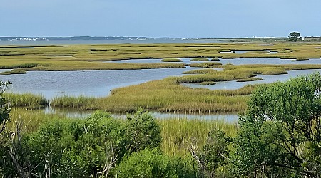 Anthropogenic CO₂ study quantifies amount and pathways in coastal ocean waters