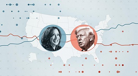 Umfragen zur US-Wahl: Wer zieht ins Weiße Haus – Donald Trump oder Kamala Harris?