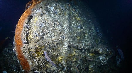 Ship that sank in 1856 with 132 onboard discovered in Atlantic Ocean 200 miles off Massachusetts, group says