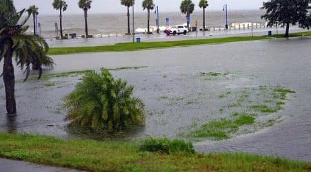 Francine weakens moving inland from Gulf Coast after hurricane winds cause blackouts