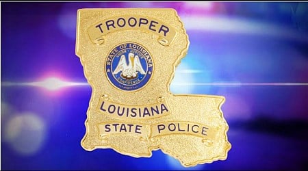 State trooper injured after being struck by tree in midst of clearing I-10 of Francine debris