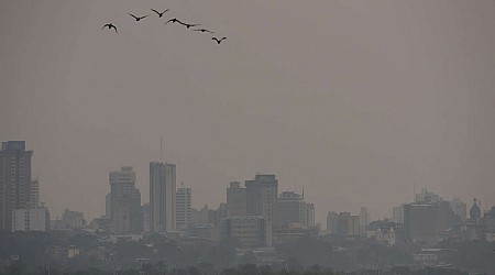 Incendies : l’air paraguayen est désormais “nocif”