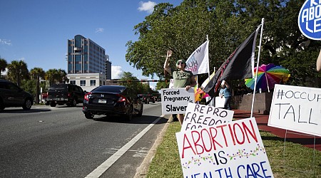 Abortions are down under Florida's 6-week ban but not by as much as in other states, study says